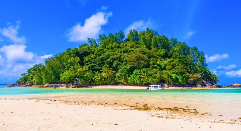 Visite de l'île Moyenne