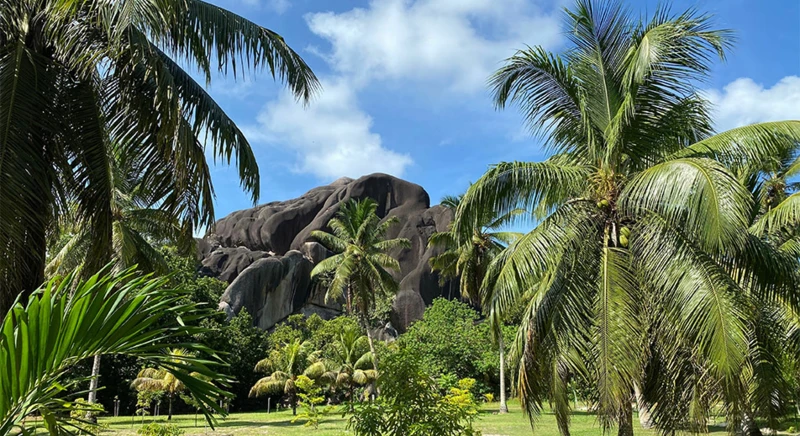 Excursion matinale guidée à La Digue