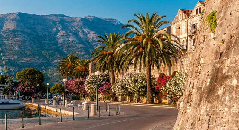 Guided tour of the town of Korcula