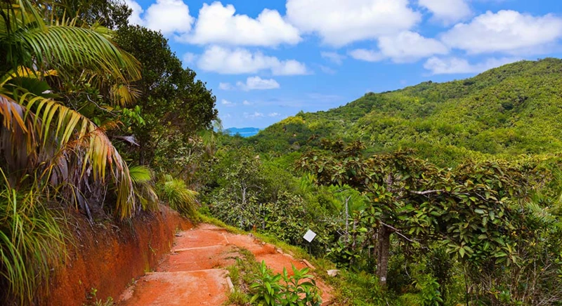 Visite de la Vallée de Mai
