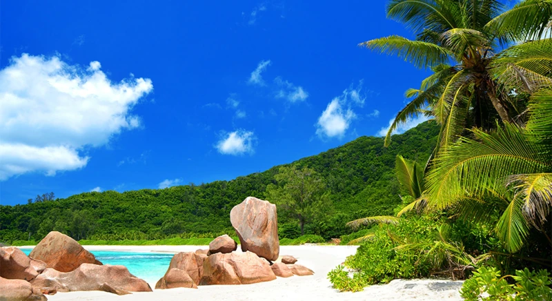 Visite de l'île de Coco