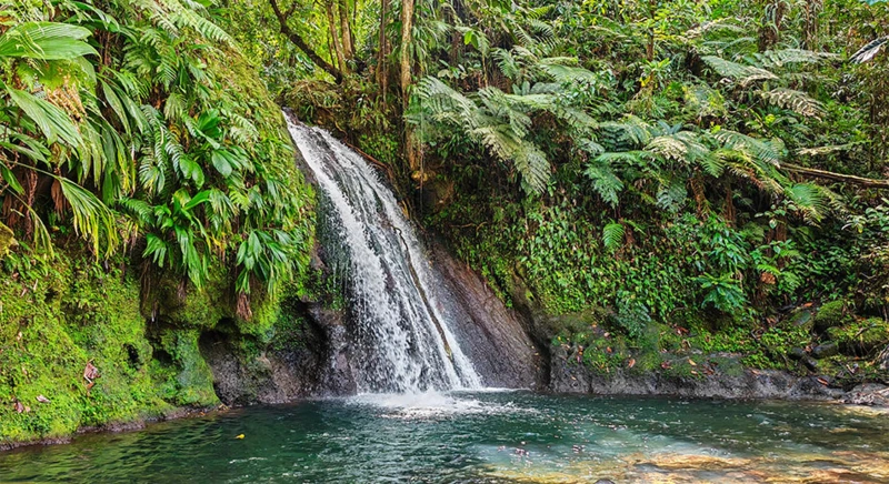 Visite de la cascade aux écrevisses