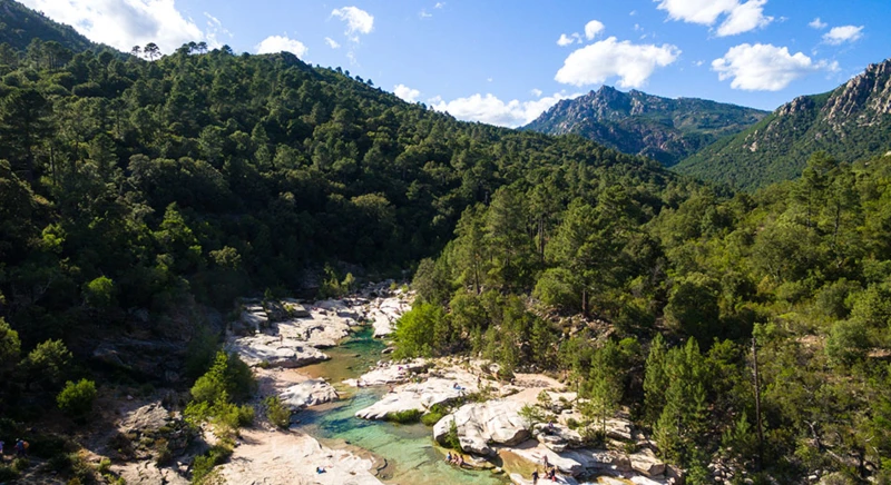 Tyrolienne dans la forêt de Sainte Lucie