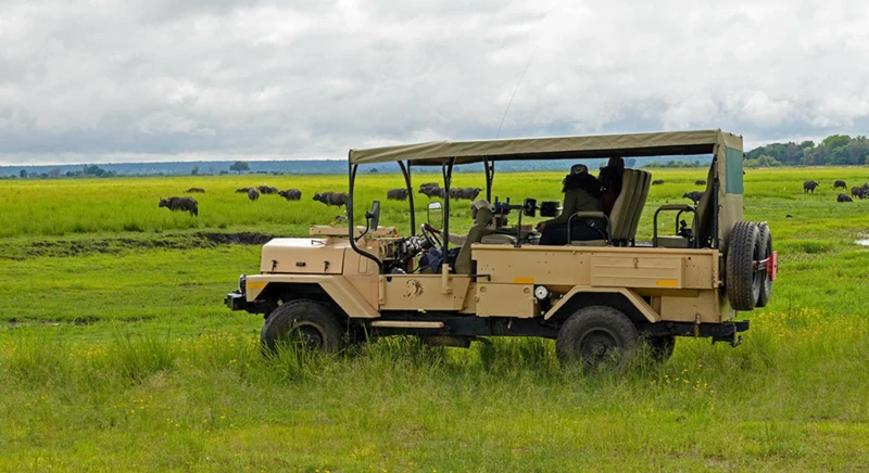 Exploration en 4x4 du parc national de Chobé