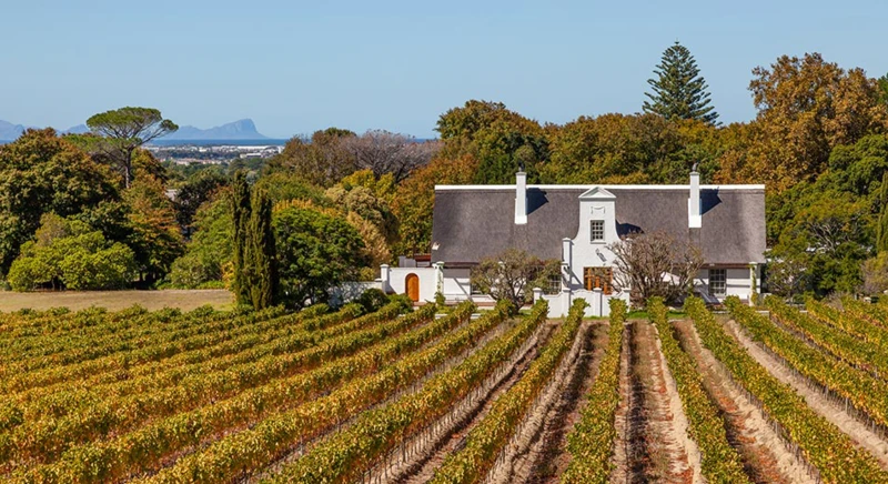 Visite du domaine viticole de Groot Constantia