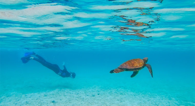 Snorkeling