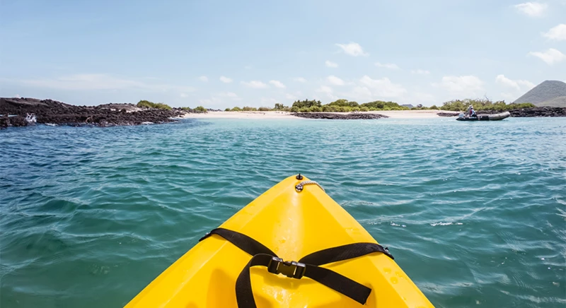 Kayak