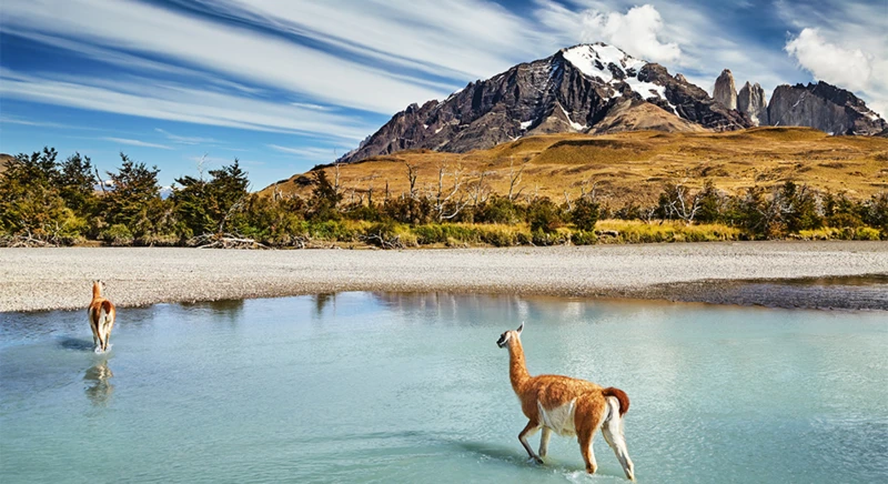 Randonnée dans le parc Torres del Paine