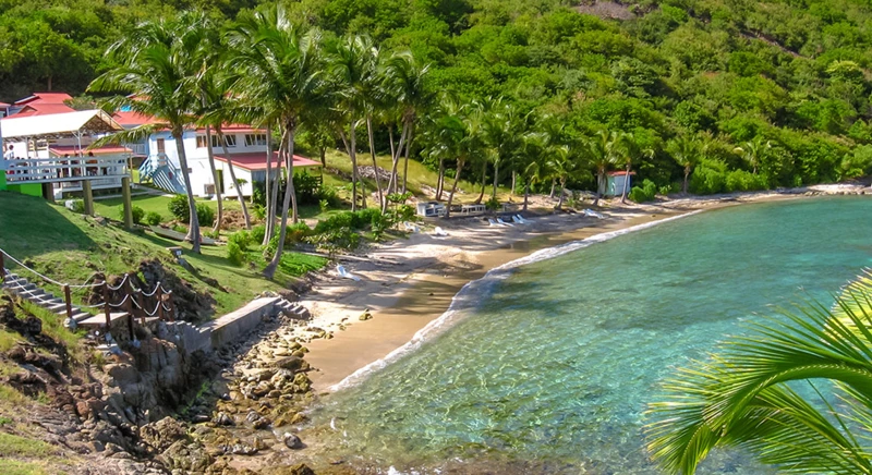 A stroll around the island of Terre de Haut: the beauty of the Saintes Islands, with Fort Napoléon dominating the bay, is a real attraction