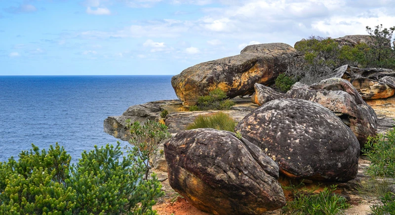 Depuis Lizard Island, une randonnée palmée dans les récifs coralliens de la baie de Watson