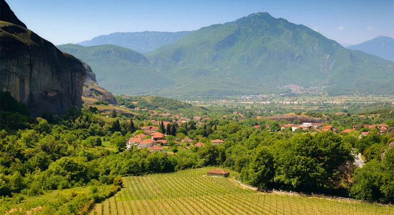 Visit of the Argyros winery