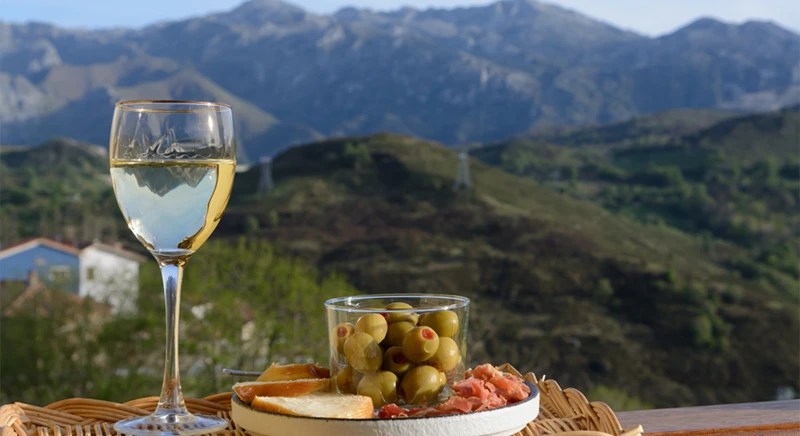 Visit of the Volacus winery