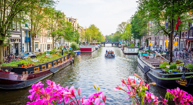 Amsterdam : visite de la ville avec croisière sur les canaux
