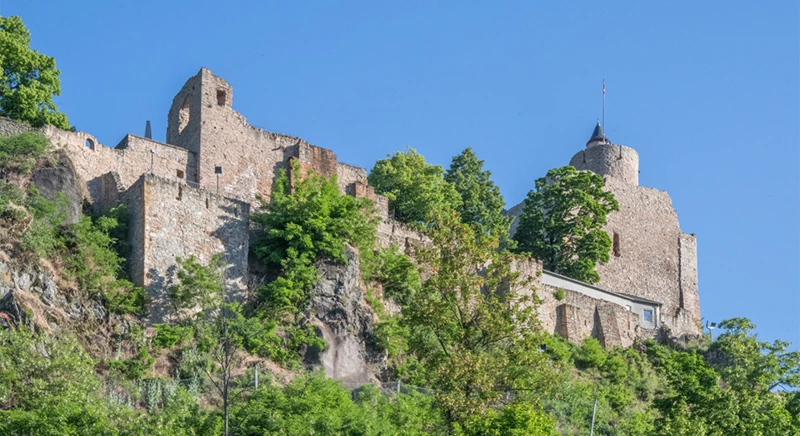 Visite guidée de Sarrebourg