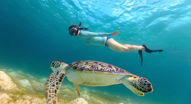 Snorkeling
