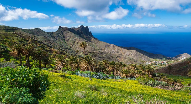 L'exploration des sept îles des Canaries : Gran Canaria, Lanzarote, Tenerife, Fuerteventura, La Palma, El Hierro et La Gomera