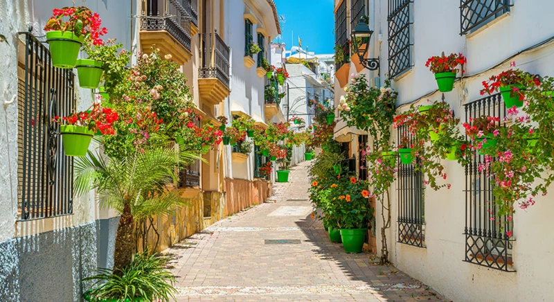 Visite guidée de Malaga