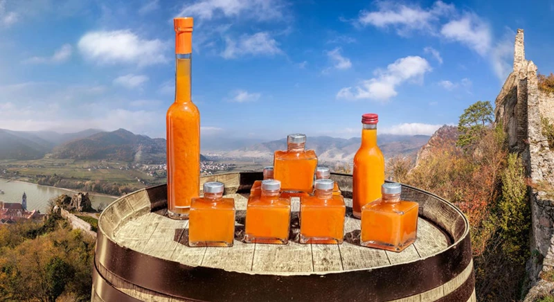 Excursion à Dürnstein avec dégustation de vins et d'abricots