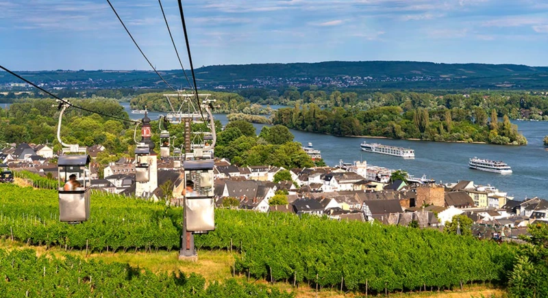 Promenade en gondole et dégustation de vin
