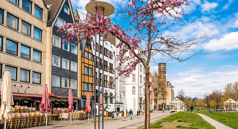 Visite à pied de Cologne