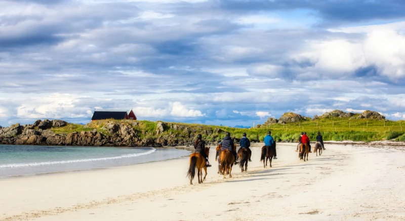 Équitation aux Lofoten