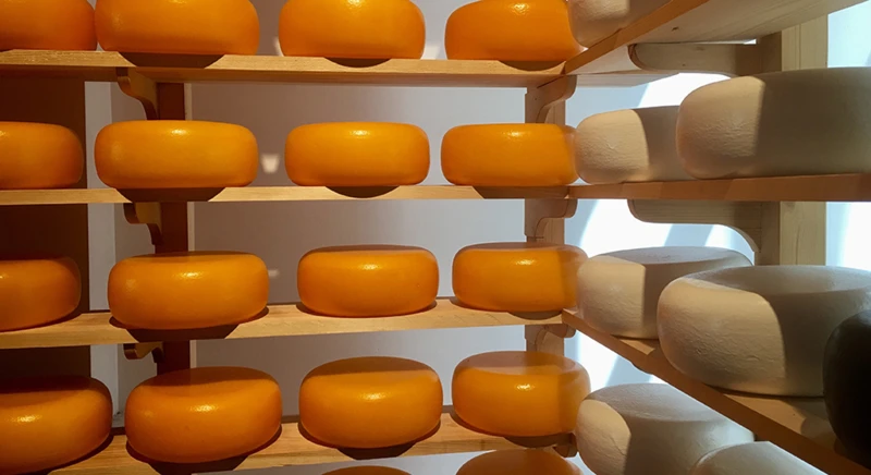Visite el museo del queso en Gouda y deguste el queso