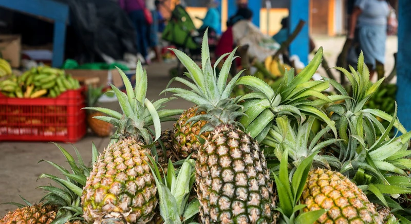 Visite guidée du marché local