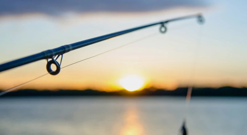 Fly fishing