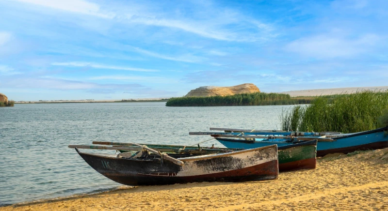 Visite de l'oasis d'El Fayoum