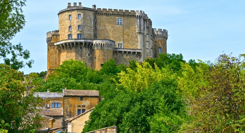 Visite du château féodal et représentation pédagogique de fauconnerie