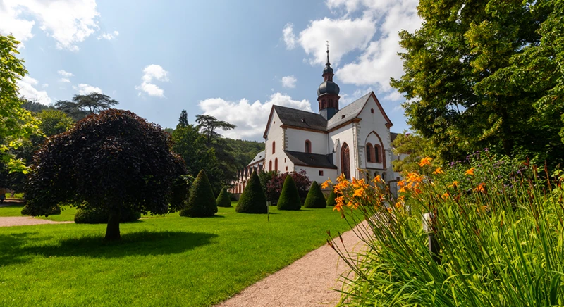 Dégustation de vins et dîner au monastère d'Eberbach