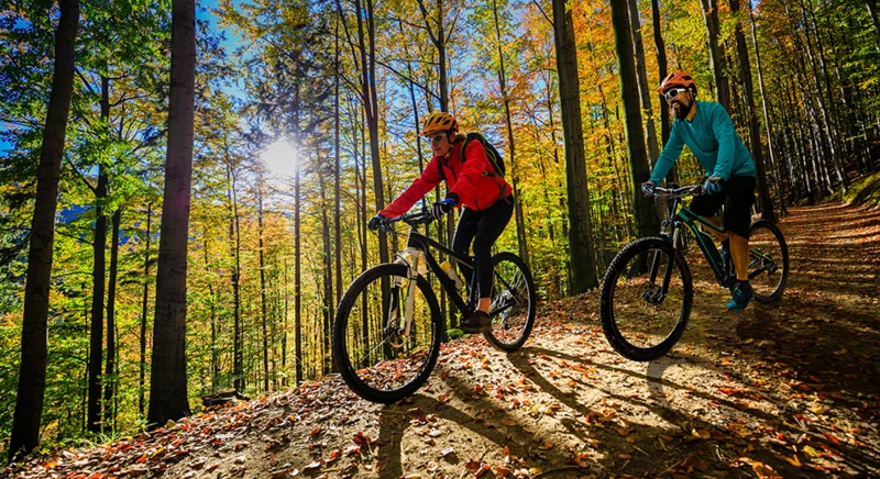 Dans la Forêt-Noire en vélo électrique