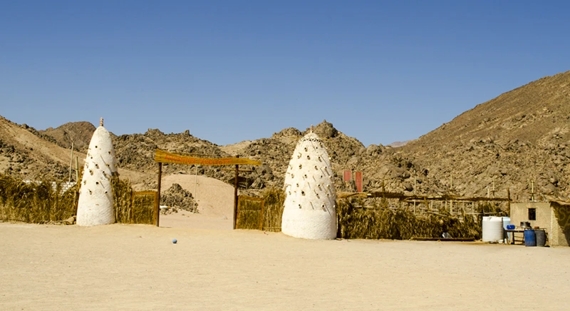 Una passeggiata tra piantagioni e villaggi ai margini del deserto