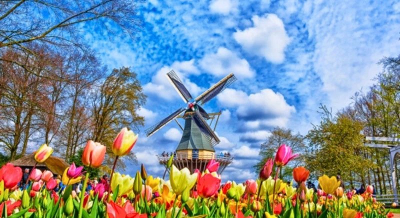Visit to the Keukenhof gardens