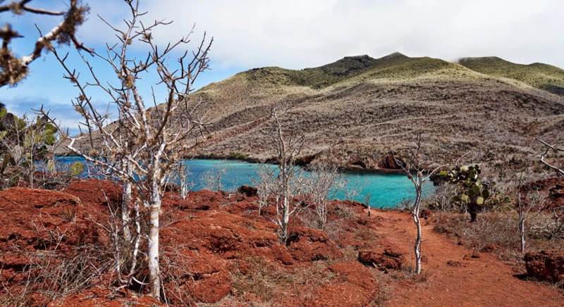 Exploration de l'île Rabida