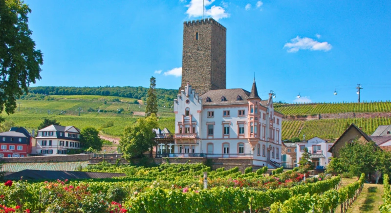 Excursion à Rüdesheim