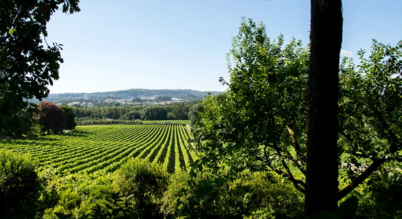 Quinta da Aveleda