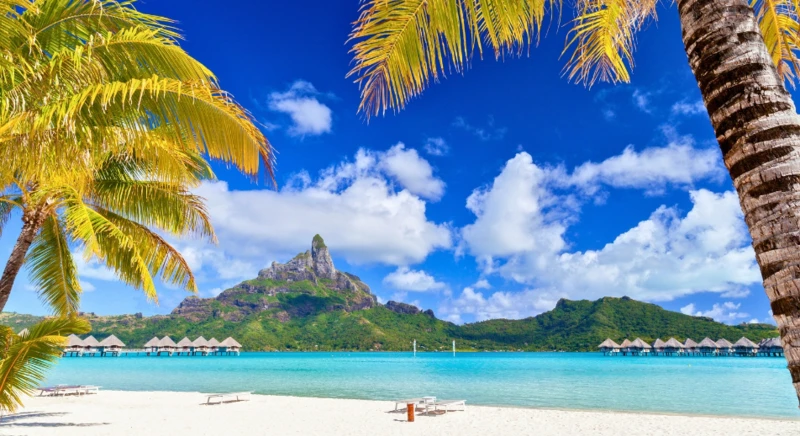 Bora Bora by Le Truck