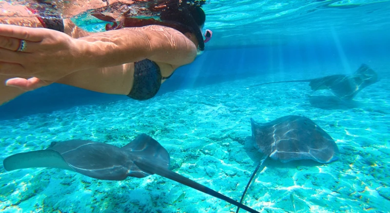 Snorkeling Lagoon Tour with Stingrays