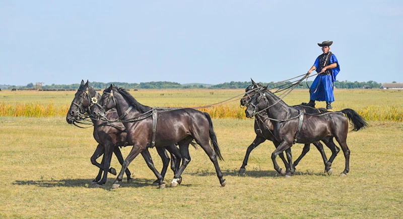 Kalocsa : randonnée du patrimoine de la Puszta