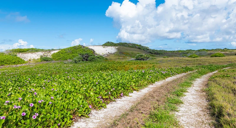 Geführter Naturspaziergang auf der Insel Assumption