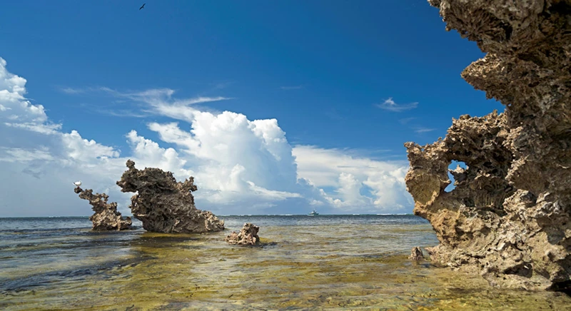 Geführter Ausflug entlang der Lagune des Cosmoledo-Atolls