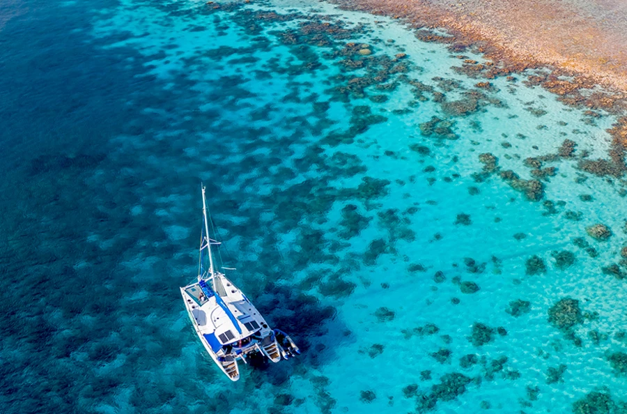 Paradis insulaire : exploration des Seychelles entre terre et mer