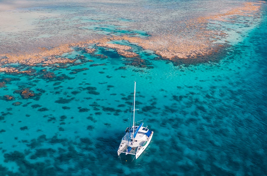 Paradis insulaire : exploration des Seychelles entre terre et mer