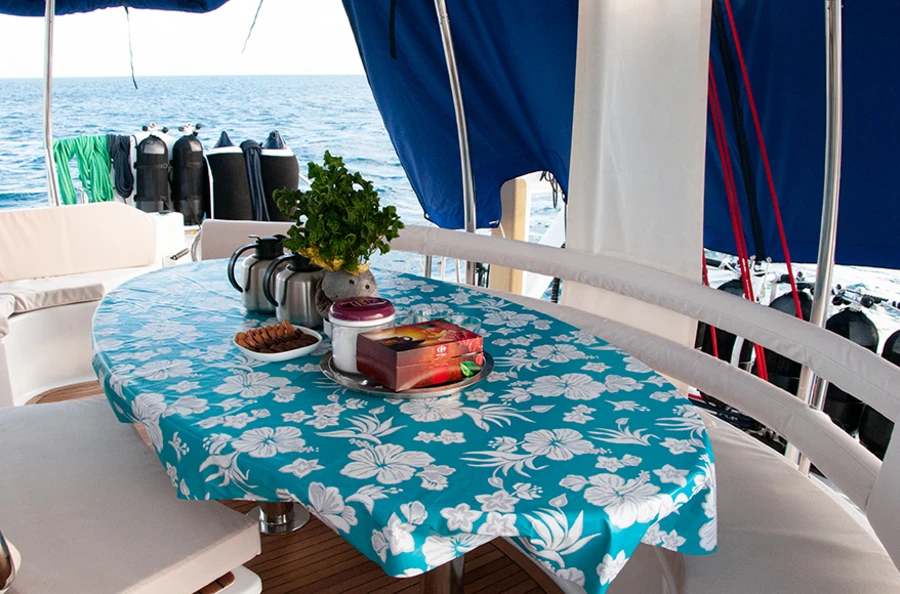 Expérience inoubliable en catamaran : plongée et navigation en Polynésie