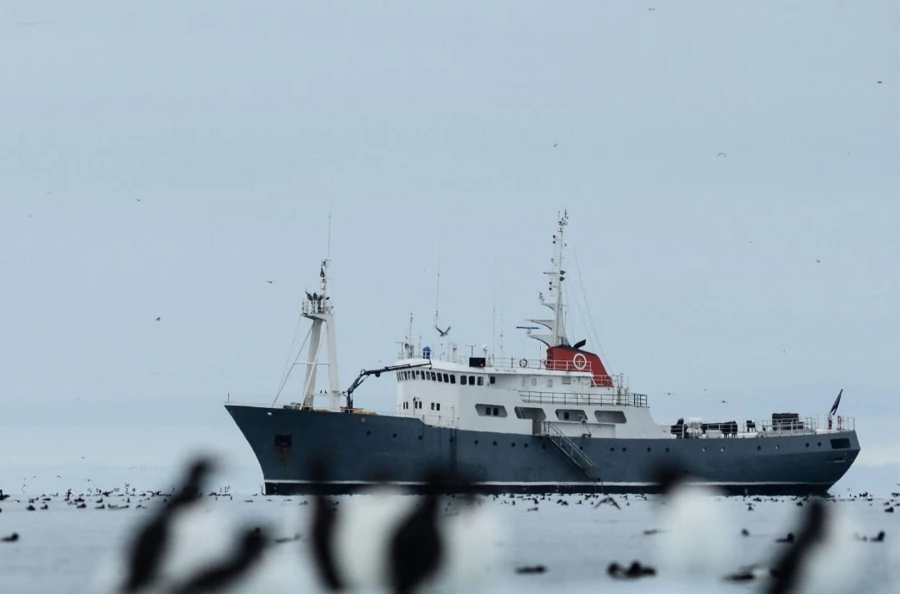 Féérie hivernale en Norvège : 9 jours d'aventure entre les îles Lofoten et les fjords des Alpes de Lyngen