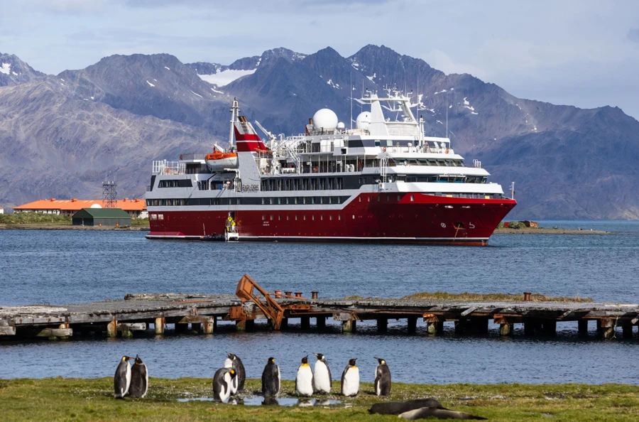 Aventure aux confins de la terre : 14 jours d’immersion totale en Antarctique et dans les îles Malouines