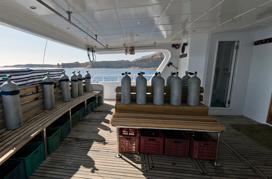 Croisière unique de 4 jours avec plongée à Jackfish Alley et dans les plus célèbres épaves de la mer Rouge : Thistlegorm et Dunraven