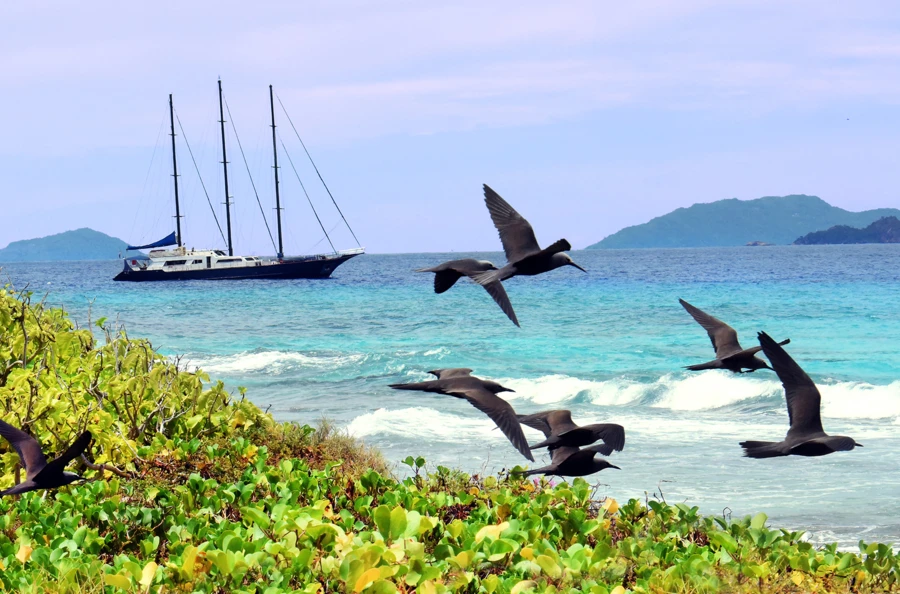 Croisière de rêve aux Seychelles, ses îles sauvages, ses plages idylliques et désertes