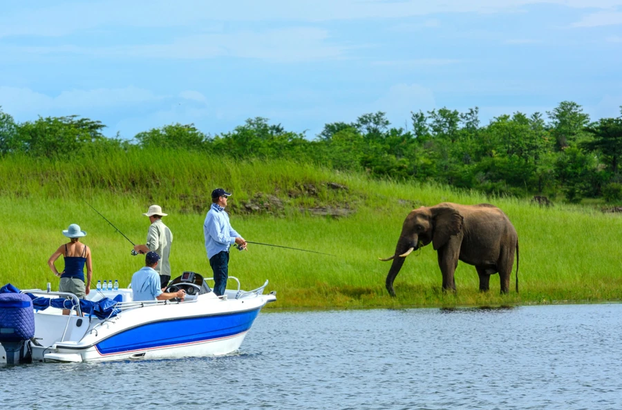 Toute la magie de l'Afrique dans une croisière-safari sur le fleuve Zambèze et le lac Kariba